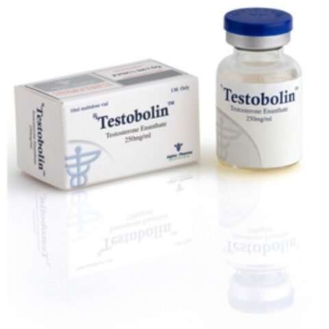 Testosterone Enanthate | Testobolin 250mg/ml x 10ml vial | Alpha Pharma