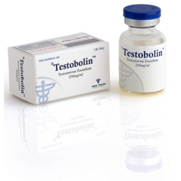 Testosterone Enanthate | Testobolin 250mg/ml x 10ml vial | Alpha Pharma